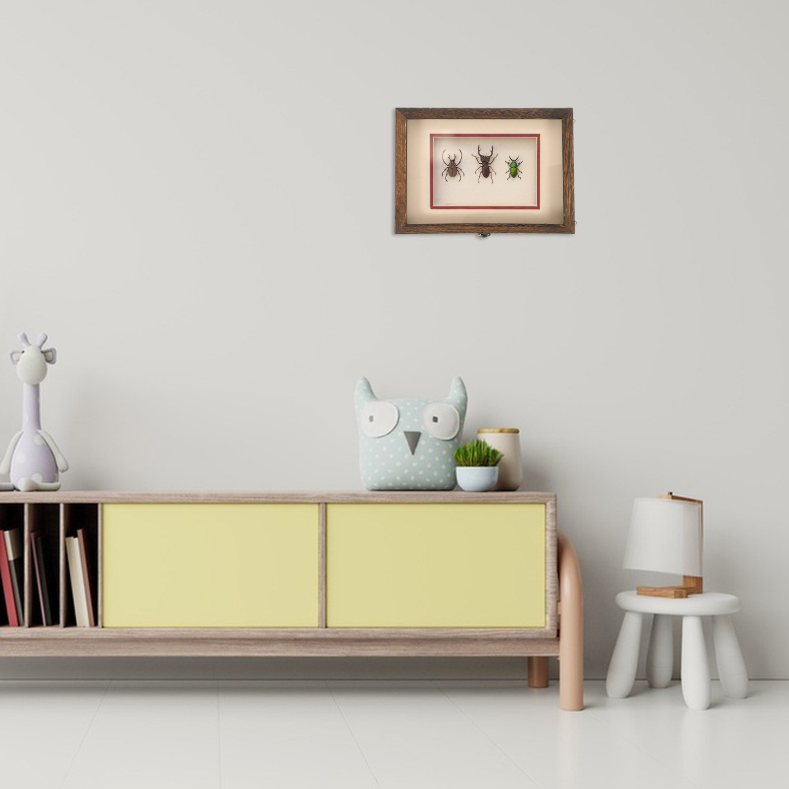 Frame Display Wood - Vitrine en bois pour présentation d'insectes,