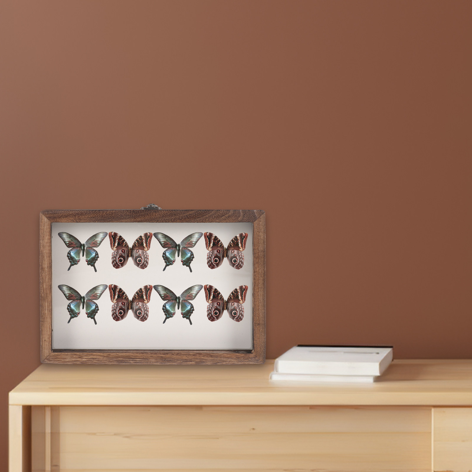 Vitrine en bois pour présentat - Frame Display Wood avis et prix