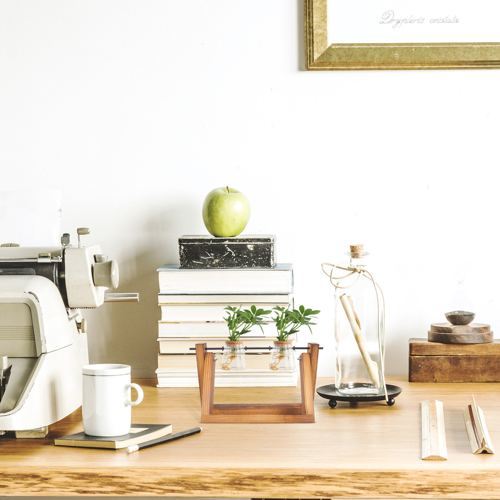Vase hydroponique, support en  - Frame Display Wood avis et prix